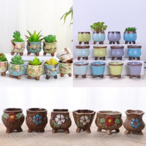 qua-trang-tri-chau-cay-canh-mini